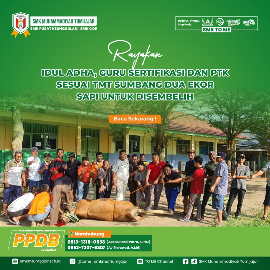 RAYAKAN IDUL ADHA, GURU SERTIFIKASI DAN PTK SESUAI TMT SUMBANG DUA EKOR SAPI UNTUK DISEMBELIH