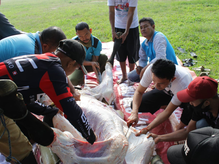 LAKSANAKAN SUNAH, SMK MUTU BERQURBAN DUA EKOR SAPI